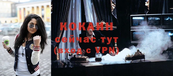 гидра Горняк
