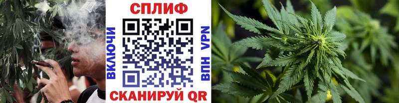 Шишки марихуана Amnesia  Старый Оскол 